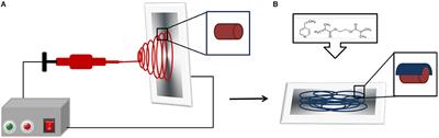 Electrospun Nanofibers With pH-Responsive Coatings for Control of Release Kinetics